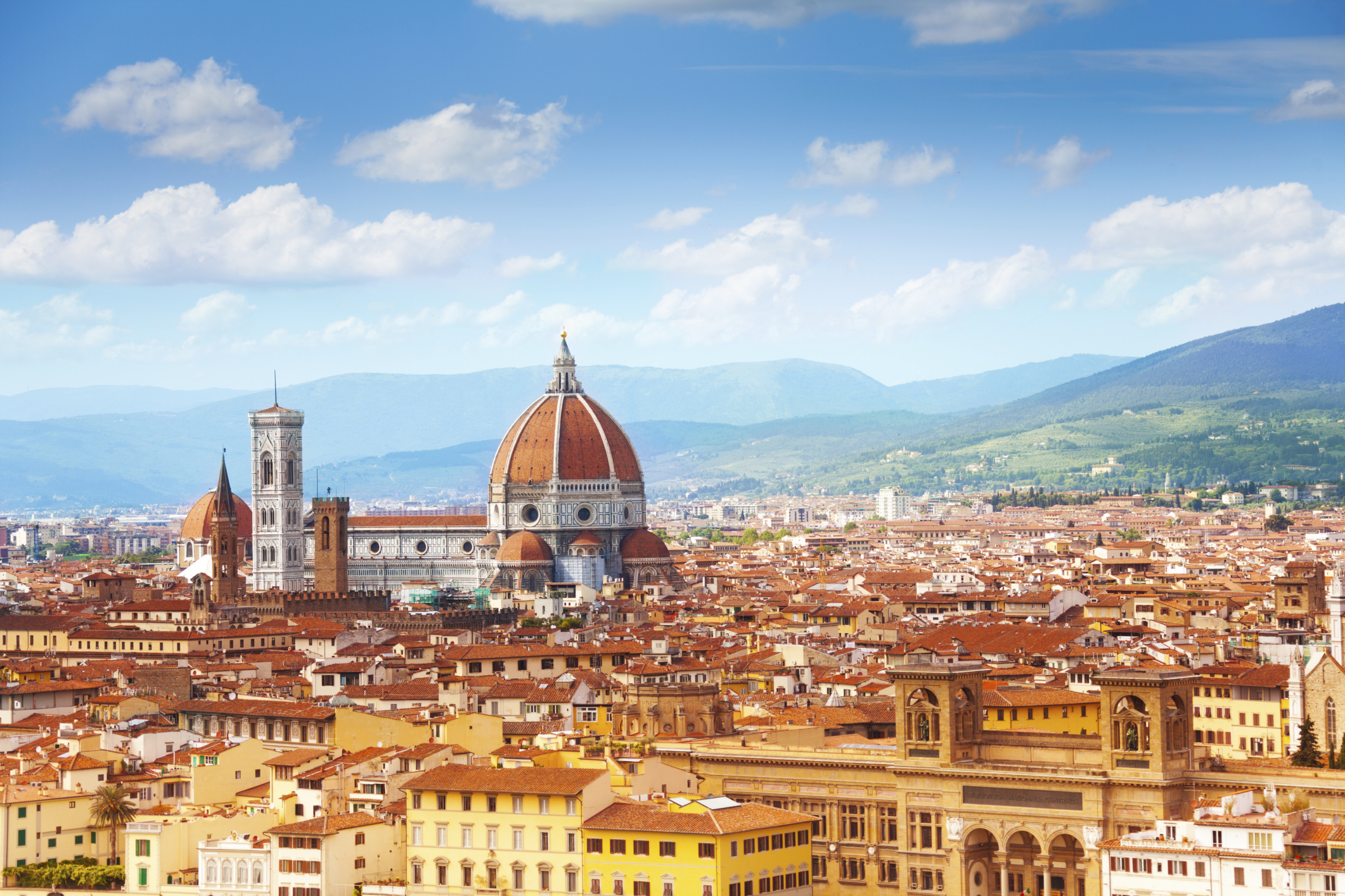 Panorama of Florence and Saint Mary